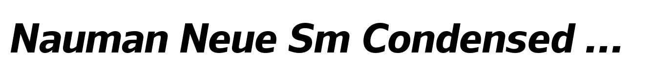 Nauman Neue Sm Condensed Bold Italic image